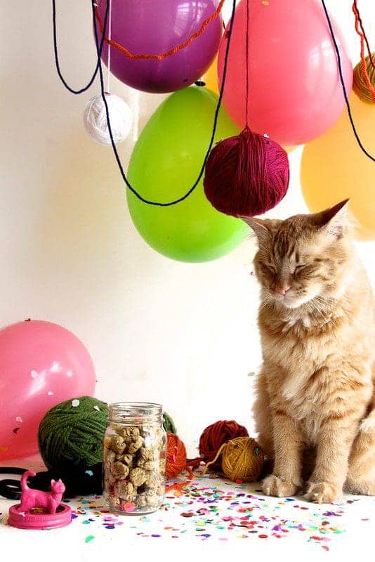 Yarn Ball Catnip Toys - Joy the Baker