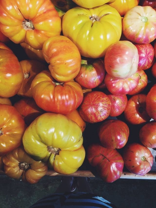 a bundle of heirloom tomatoes