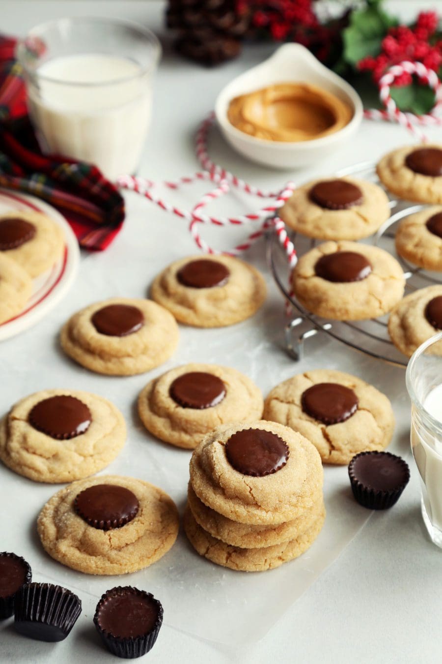 My 12 Best Chrismas Cookie Recipes