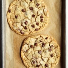 two giant chocolate chip cookies