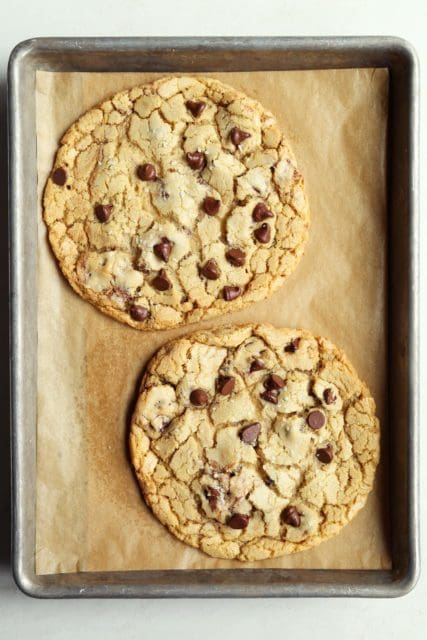 two giant chocolate chip cookies