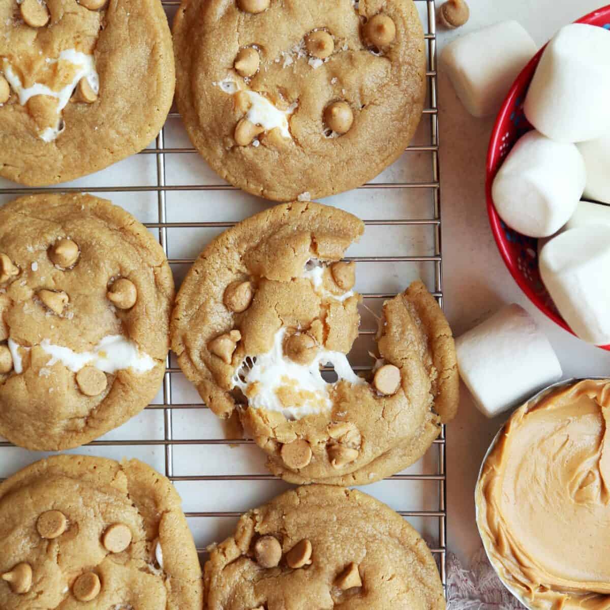 The Best Brown Butter Chocolate Chip Cookies Joy the Baker