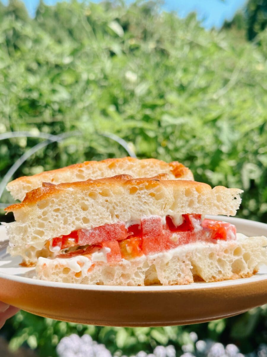 Here’s What I’m Eating: A Summer Tomato Sandwich