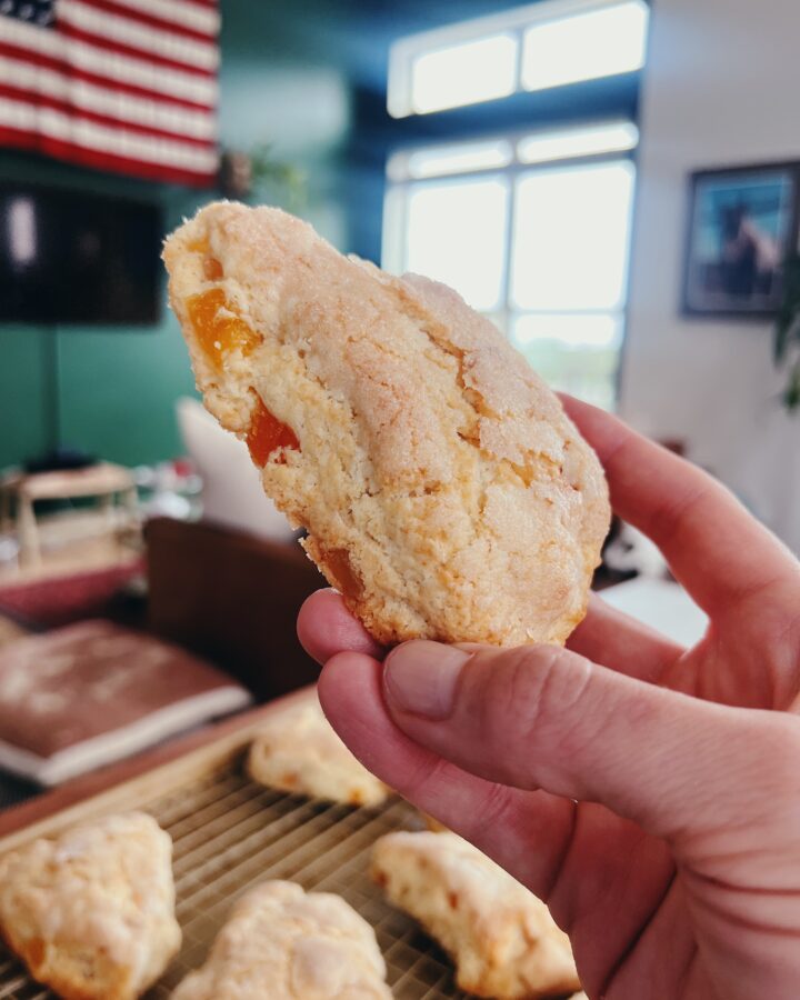 close up of freshly baked apricot ginger scones, with fruit showing through the fluffy dough