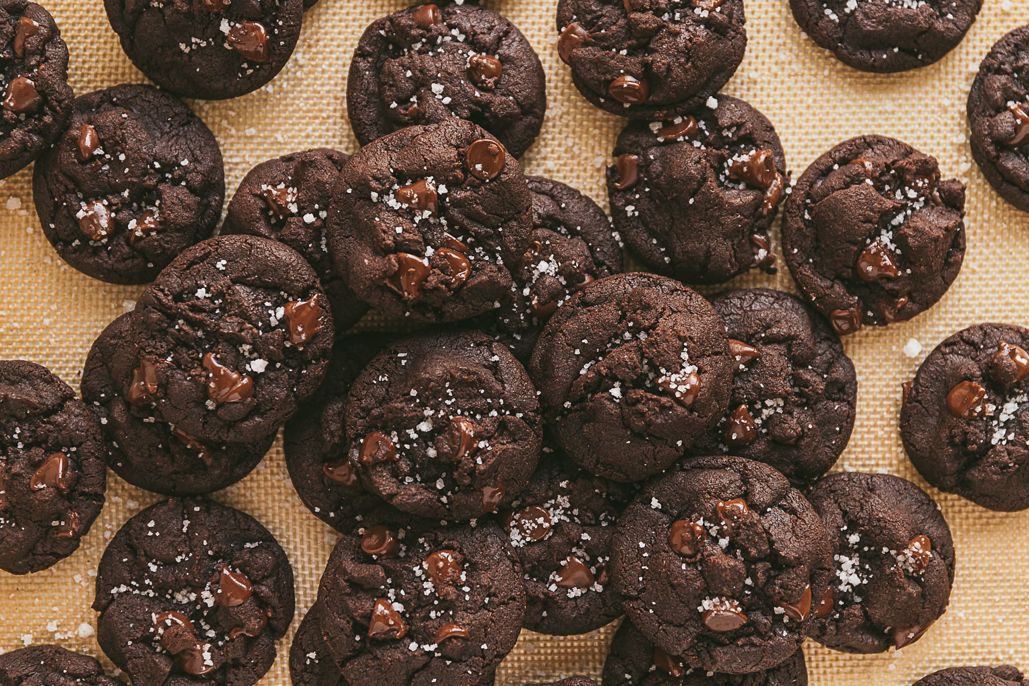 Double Chocolate Olive Oil Cookies