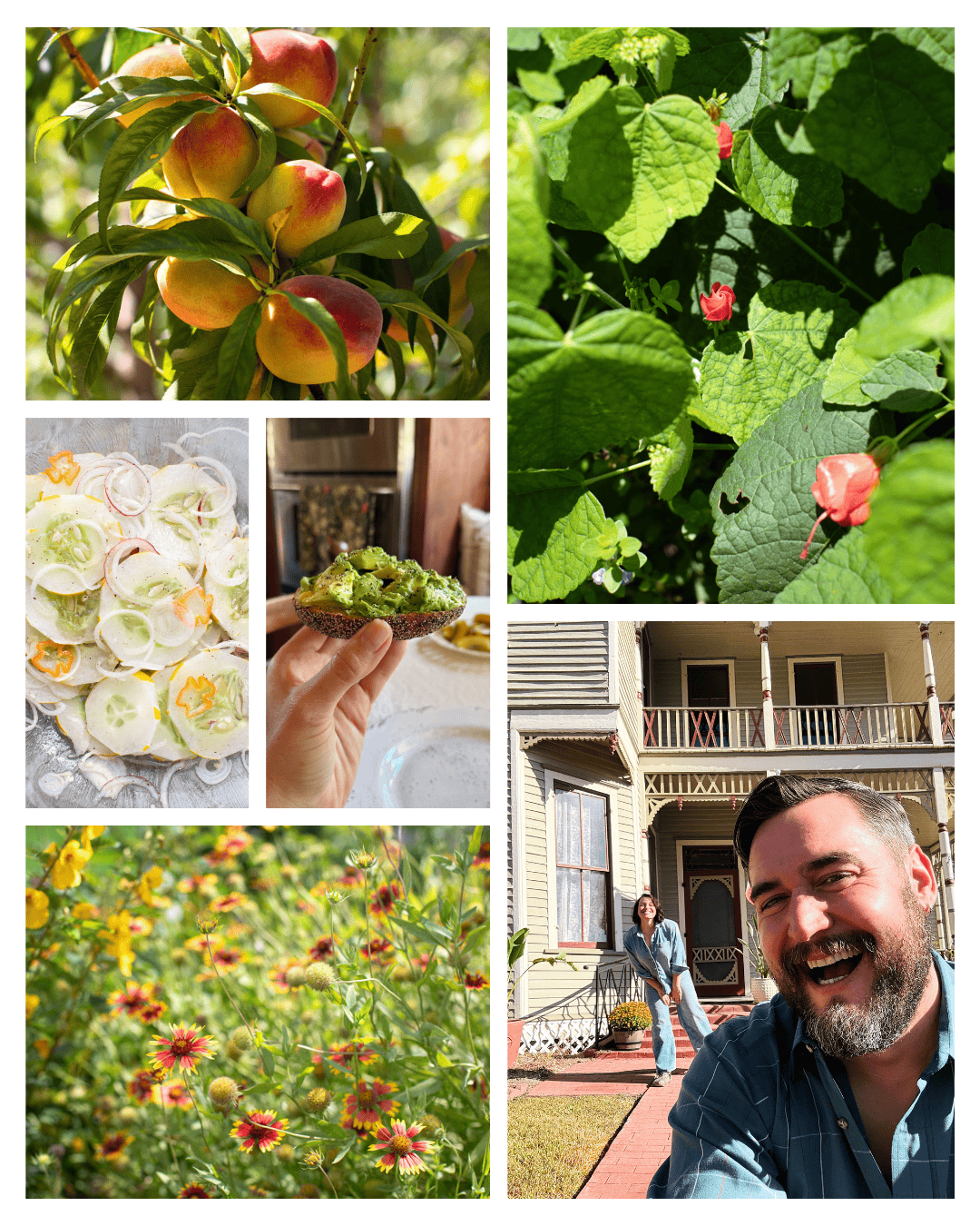 The Bakehouse Almanac: June 2026